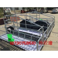 豬用產床多少錢一套母豬產床價格雙體豬產床廠家直銷
