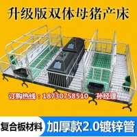供應豬用分娩欄價格 母豬產床尺寸 豬產床廠家直銷