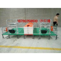 豬舍配套使用母豬產仔欄 雙體豬產床 產保一體床多少錢一套