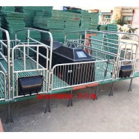 熱鍍鋅管豬用產仔欄一套多少錢  雙體產床規格齊全 豬用分娩欄尺寸