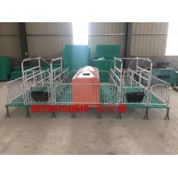 廠家供應母豬產仔欄一套多少錢 豬用雙體產床價格養豬設備